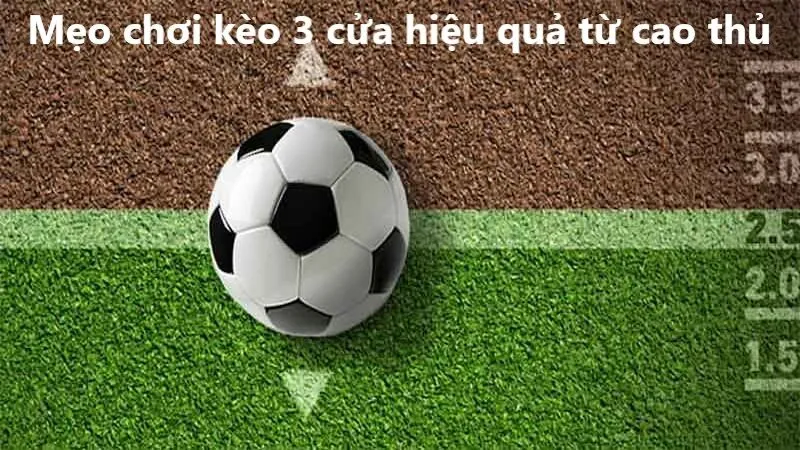 Mẹo chơi kèo 3 cửa hiệu quả từ cao thủ