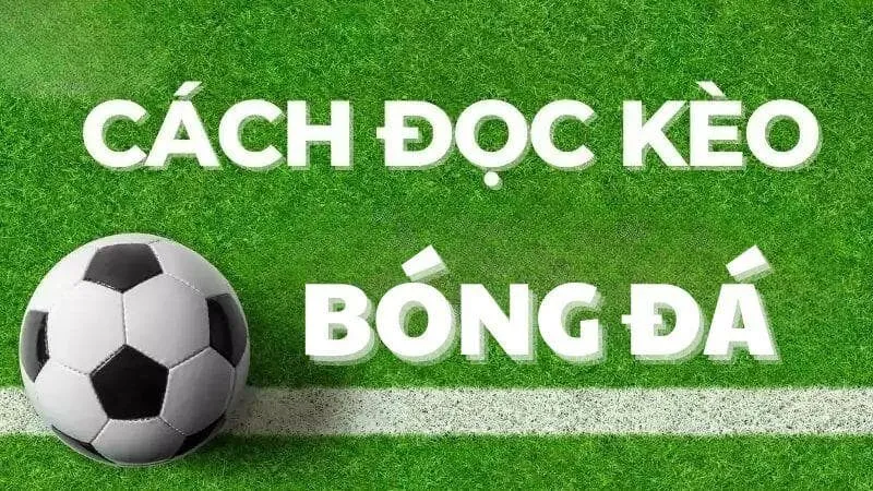 Cách đọc và tính toán odds là gì - hướng dẫn tân thủ
